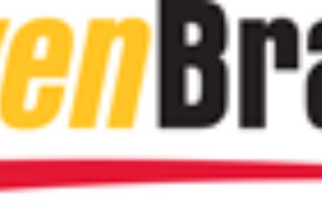 Driven Brands Logo Positive thumbnail