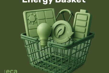 ECA Bodyshop Energy Basket