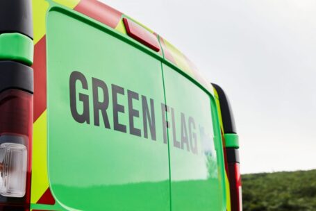 Green Flag logo