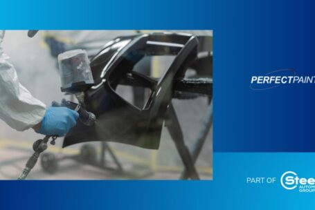 Steer Perfect Paint