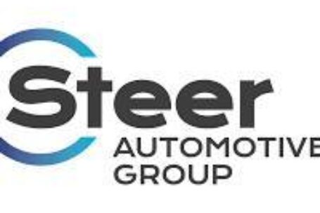 Steer logo