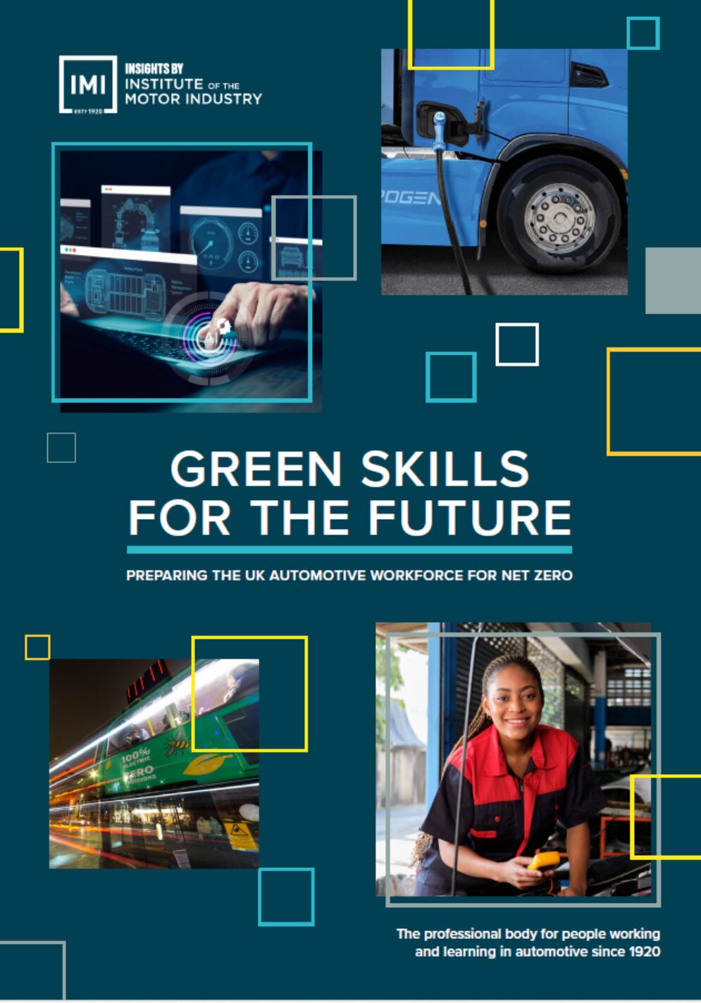 IMI green skills