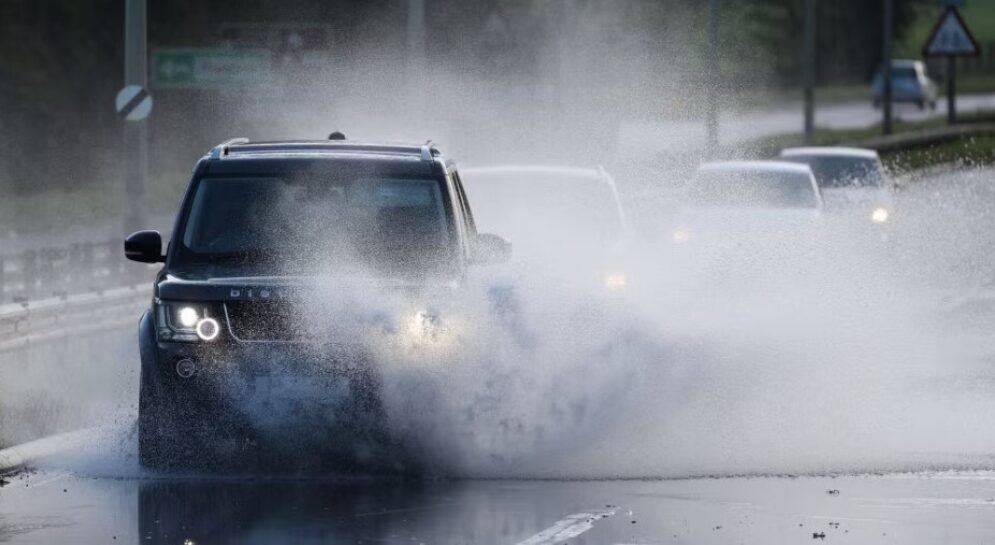Storm Bert