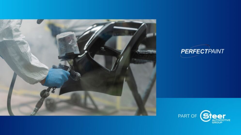 Steer Perfect Paint