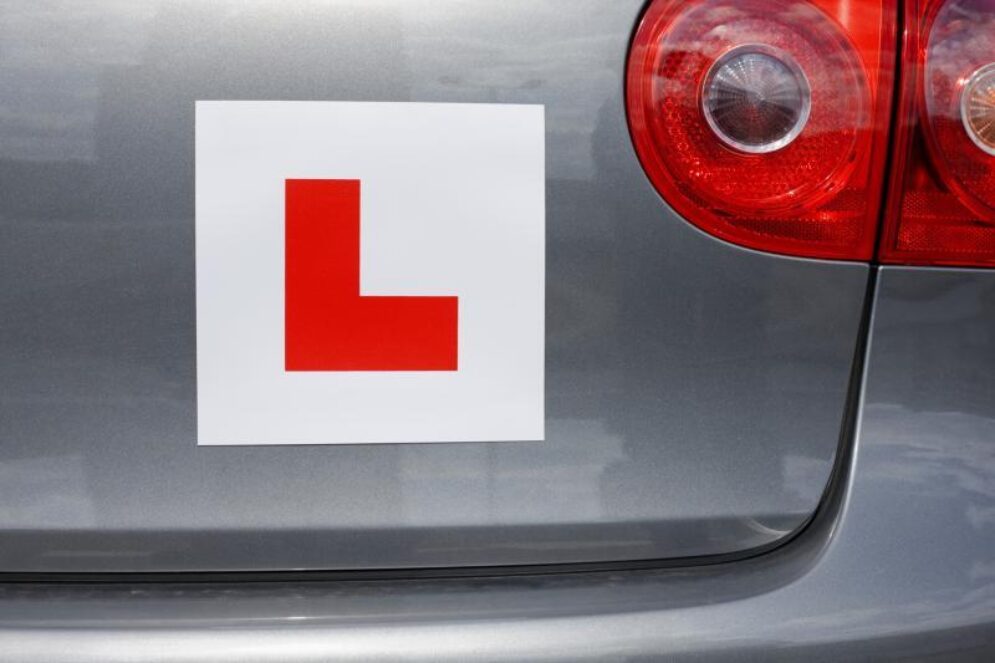 L PLATE 1