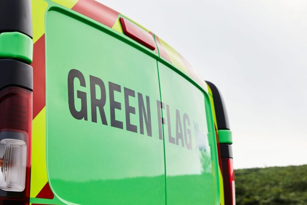 Green Flag logo