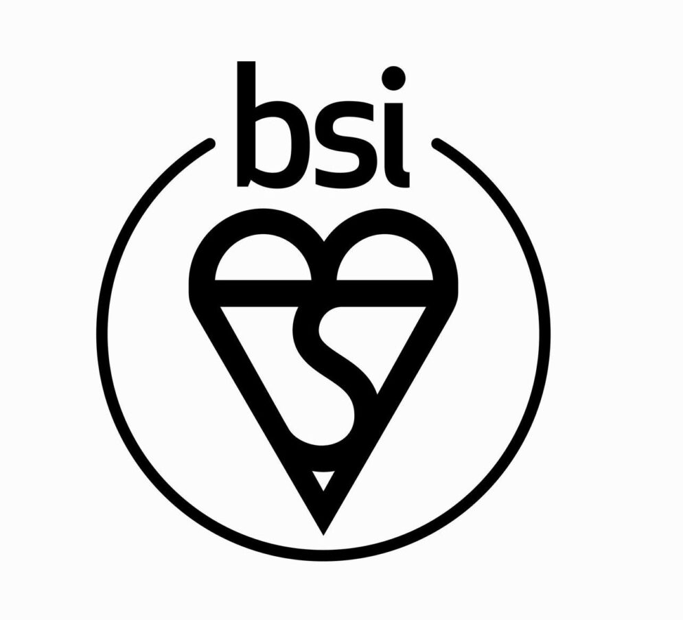 BSI logo 2