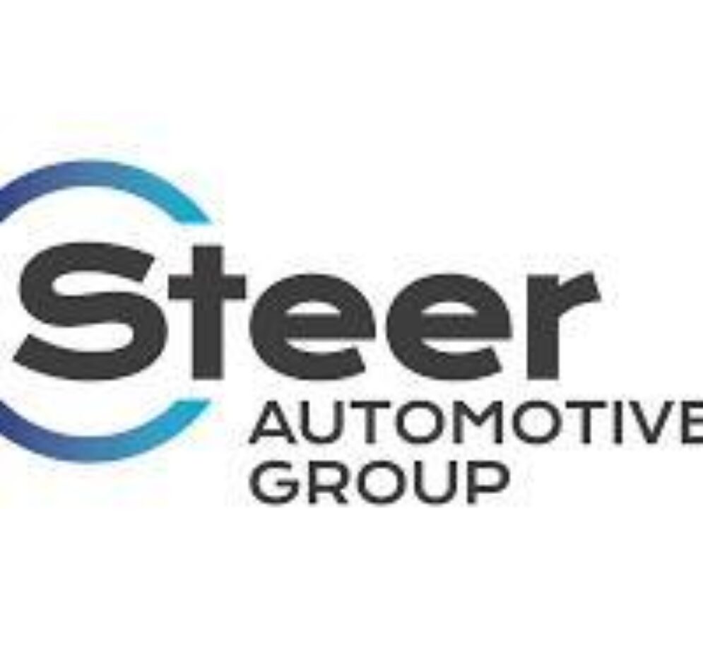 Steer logo