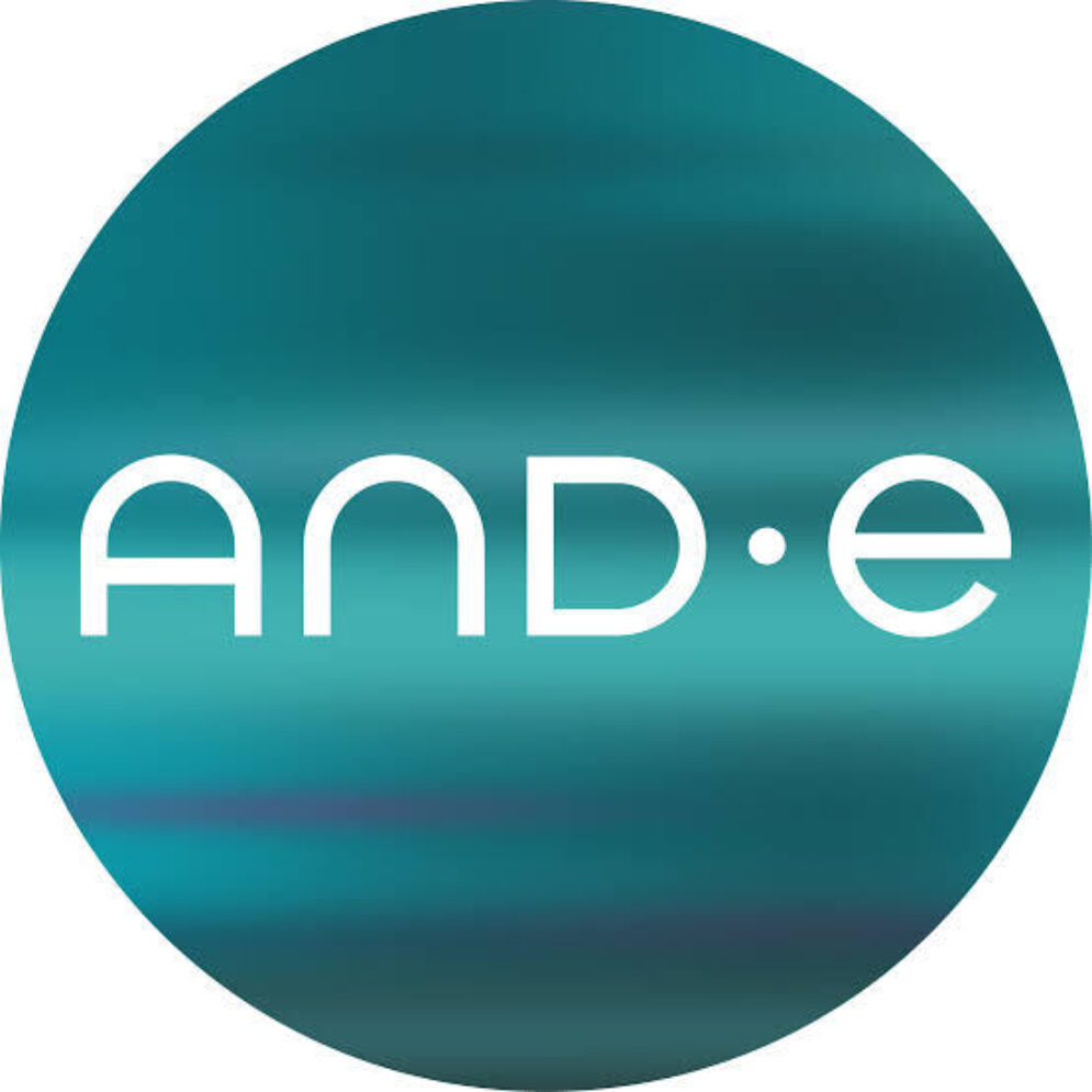 AND E logo