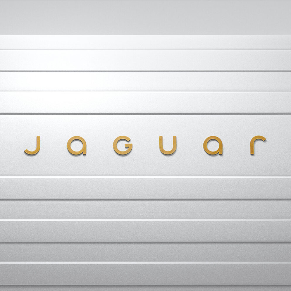 JAGUAR DEVICE MARK 1 X1 191124
