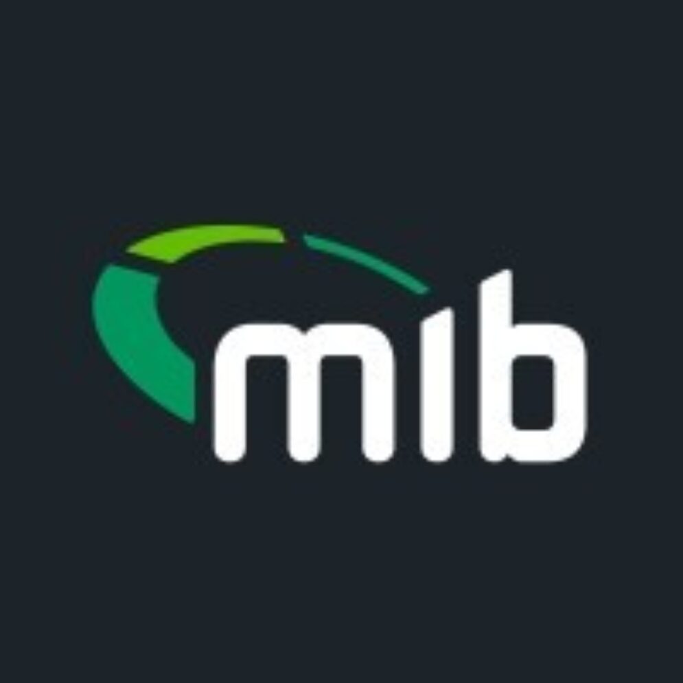 Motor insurers bureau logo